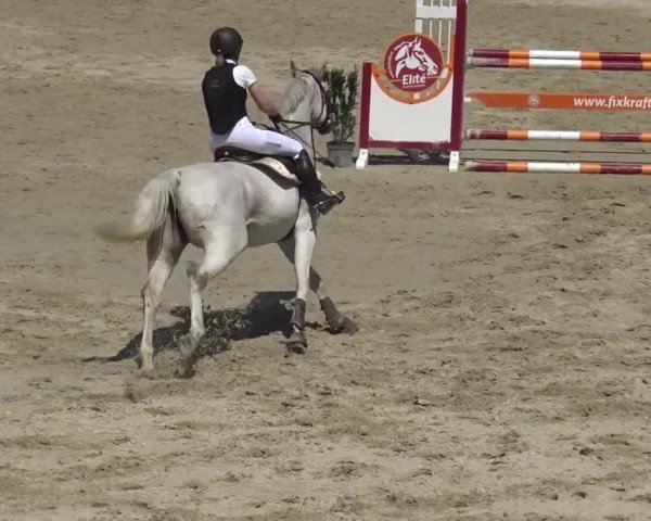Reitturnier Preding 2025