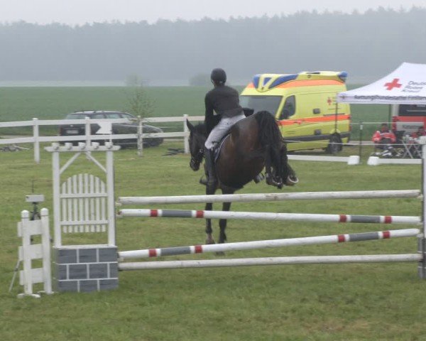 Reitturnier Wehnsdorf 2025