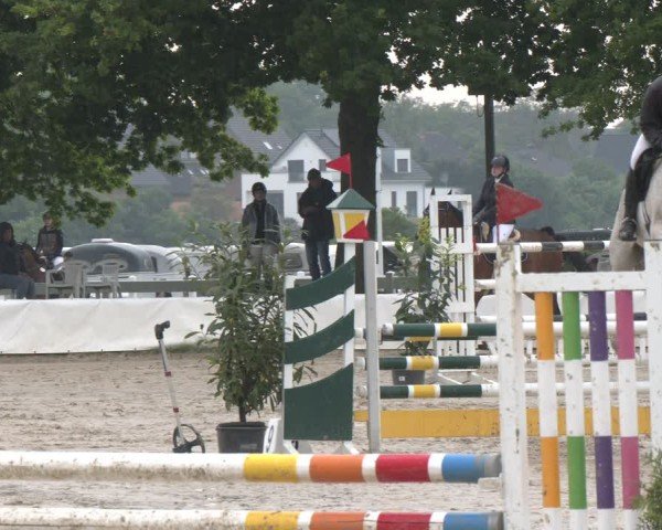 Reitturnier Neuss-Allerheiligen 2025