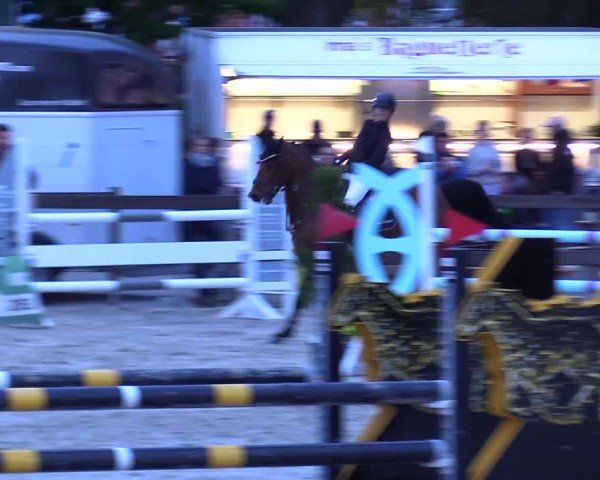 Reitturnier Looperholz 2025