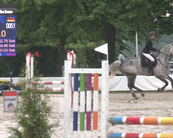 Reitturnier Neuss-Allerheiligen 2025