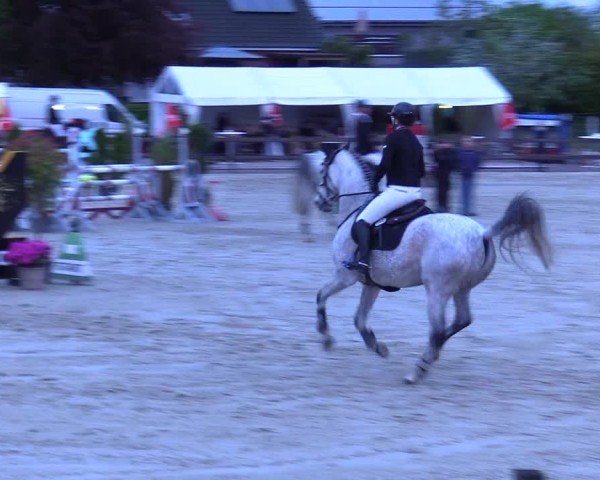 Reitturnier Looperholz 2025