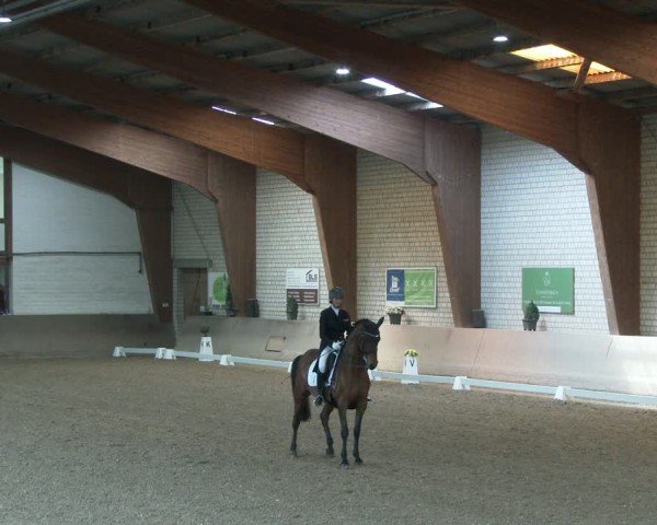 Reitturnier Kamen 2025