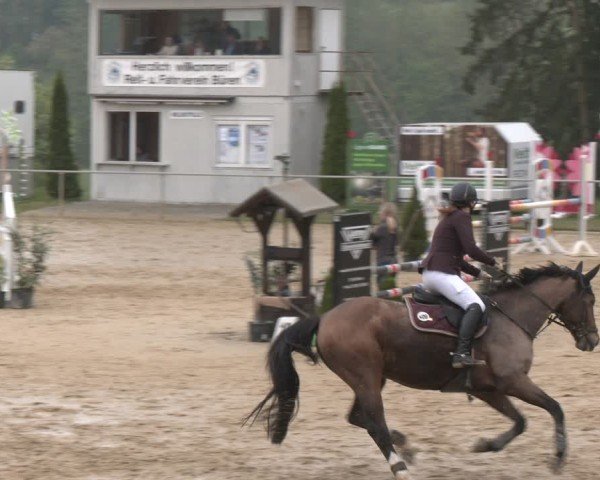 Reitturnier Büren 2025