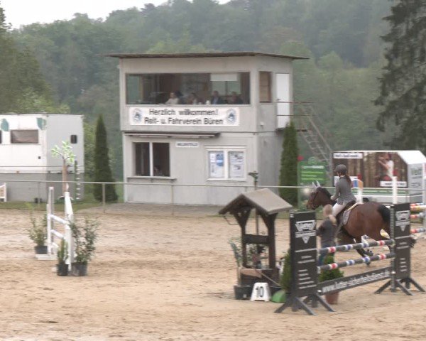 Reitturnier Büren 2025