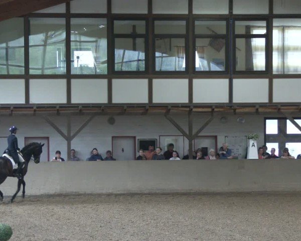 Reitturnier Kamen 2025