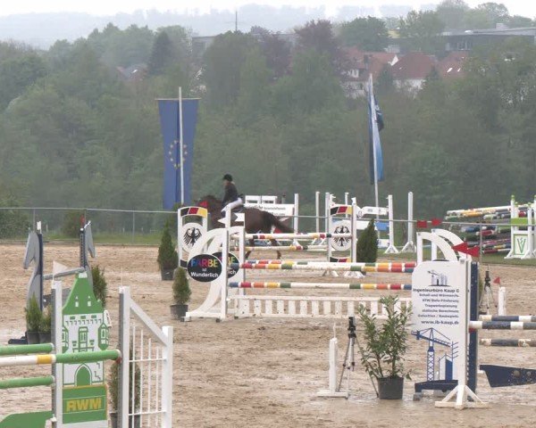 Reitturnier Büren 2025
