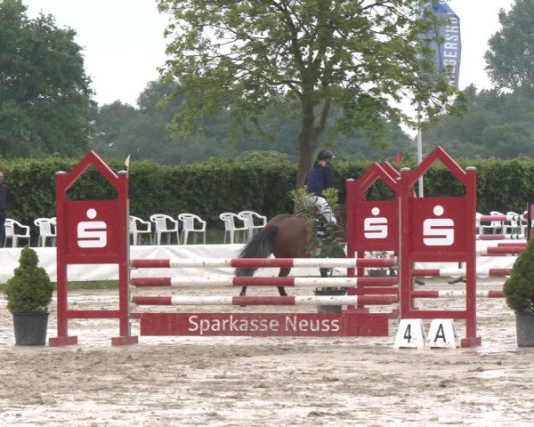 Reitturnier Neuss-Allerheiligen 2025