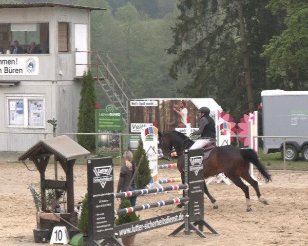 Reitturnier Büren 2025