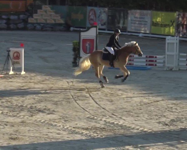 Reitturnier Preding 2025