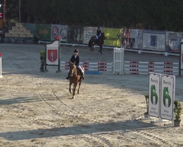 Reitturnier Preding 2025