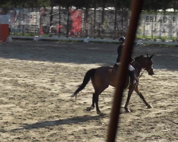 Reitturnier Preding 2025