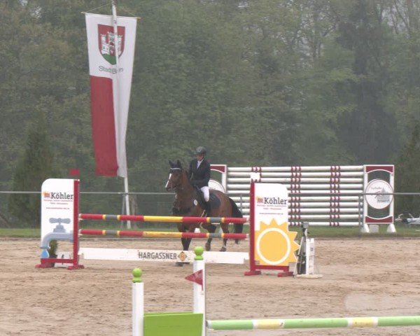 Reitturnier Büren 2025