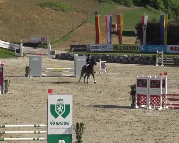 Reitturnier Preding 2025