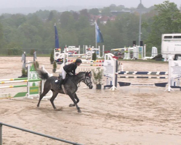 Reitturnier Büren 2025