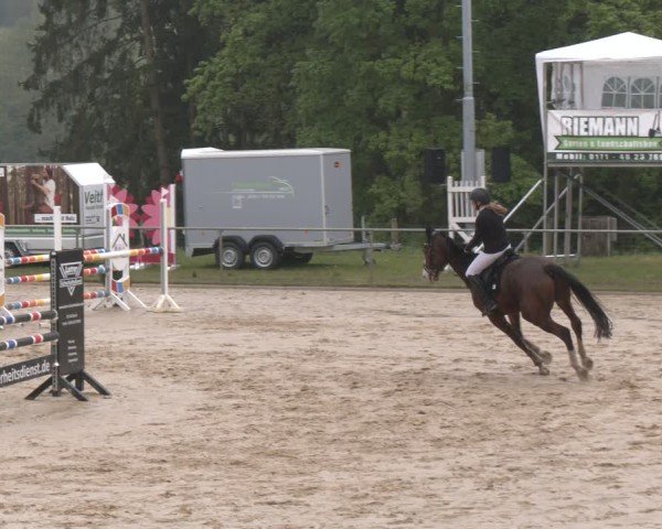 Reitturnier Büren 2025