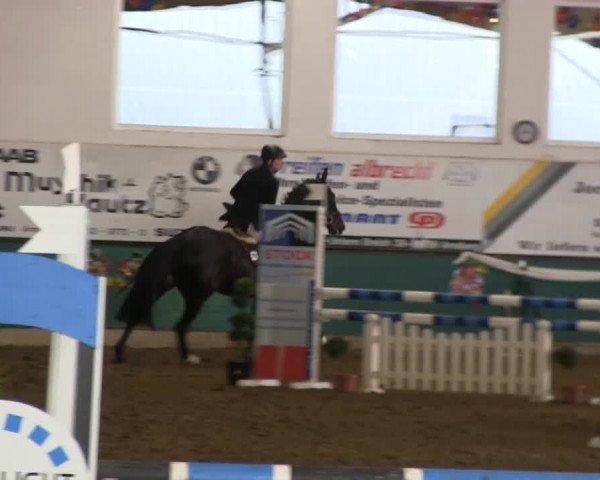 Hallenreitturnier Arnsberg-Voßwinkel 2014