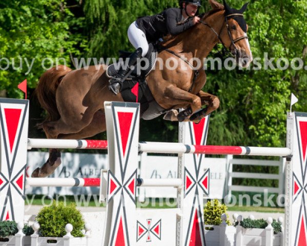jumper Lenny Kravitz 16 (Westphalian, 2007, from Lord Lancer)