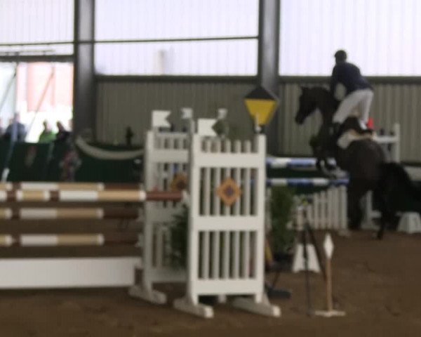 Hallenreitturnier Arnsberg-Voßwinkel 2014