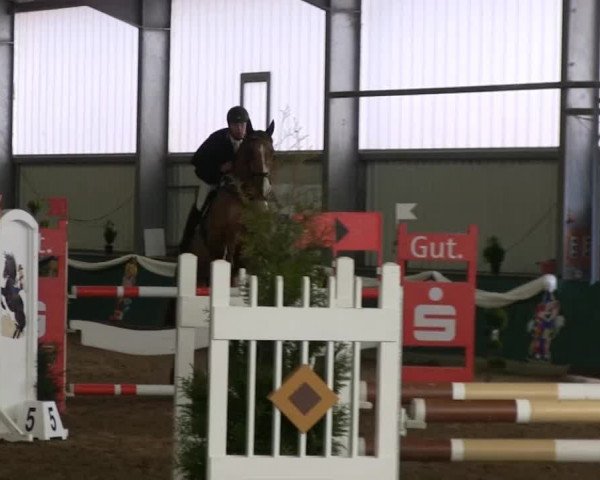 Hallenreitturnier Arnsberg-Voßwinkel 2014