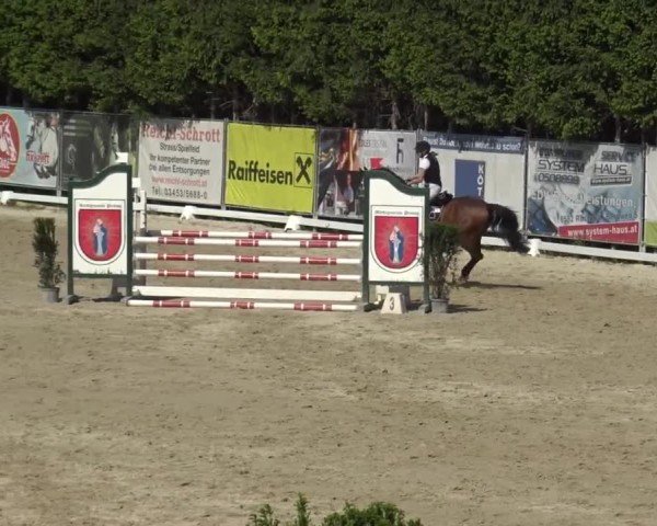 Reitturnier Preding 2025