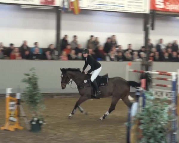 Vlotho-Exter 2014