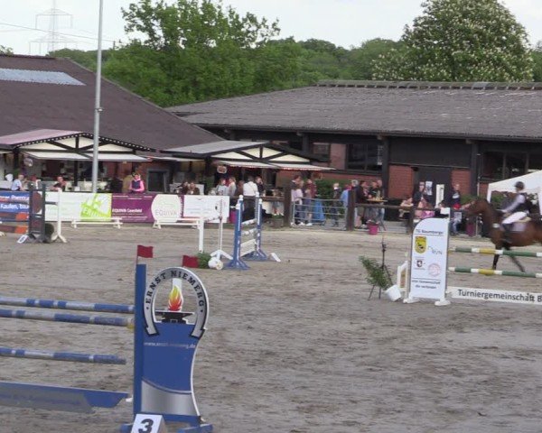 Reitturnier Havixbeck 2025