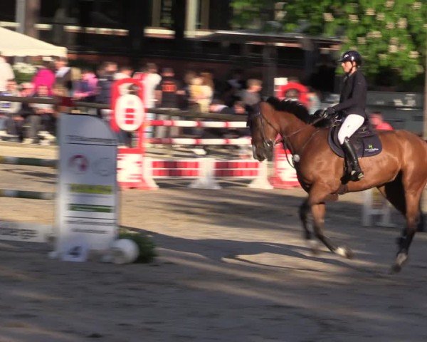 Reitturnier Havixbeck 2025