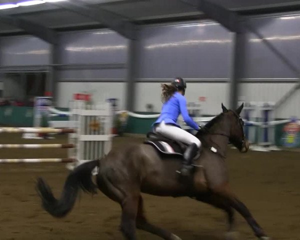 Hallenreitturnier Arnsberg-Voßwinkel 2014