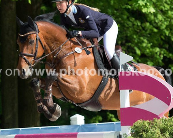 Springpferd Cordento S (Schwedisches Warmblut, 2002, von VDL Cardento 933)