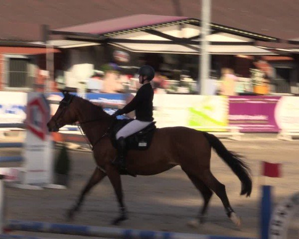 Reitturnier Havixbeck 2025