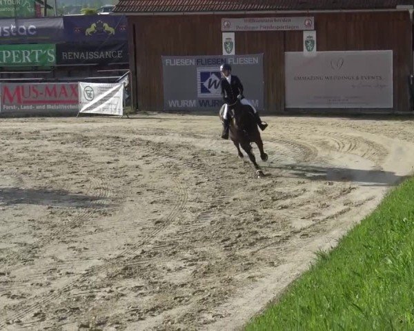 Reitturnier Preding 2025