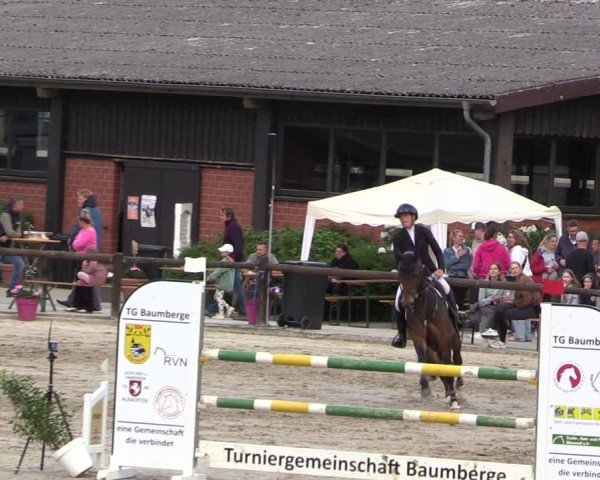 Reitturnier Havixbeck 2025