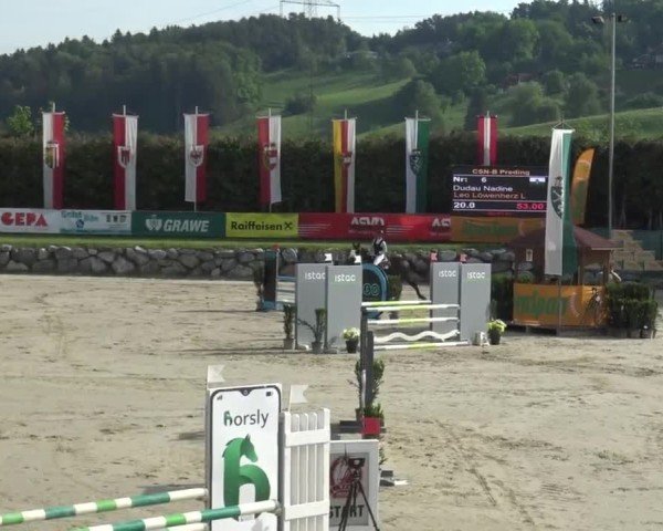 Reitturnier Preding 2025