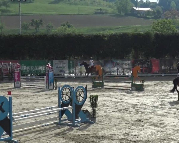 Reitturnier Preding 2025