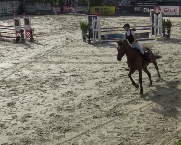 Reitturnier Preding 2025