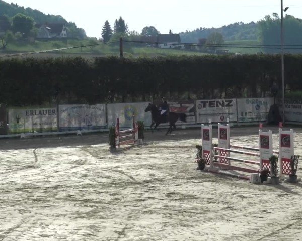 Reitturnier Preding 2025