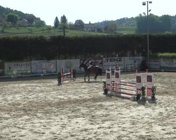 Reitturnier Preding 2025