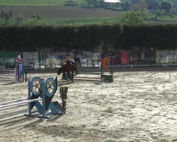 Reitturnier Preding 2025