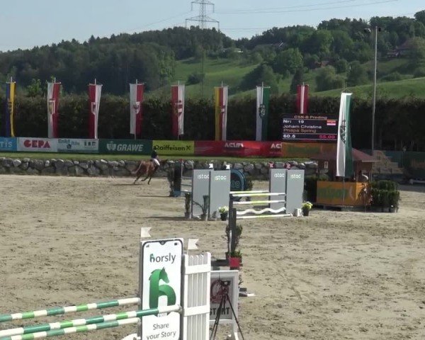 Reitturnier Preding 2025