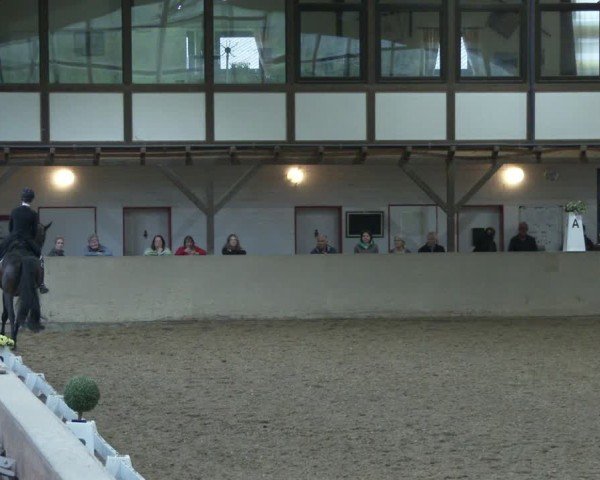 Reitturnier Kamen 2025