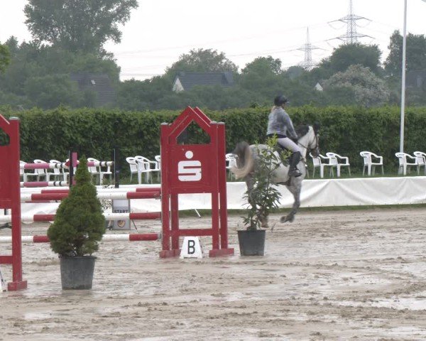 Reitturnier Neuss-Allerheiligen 2025