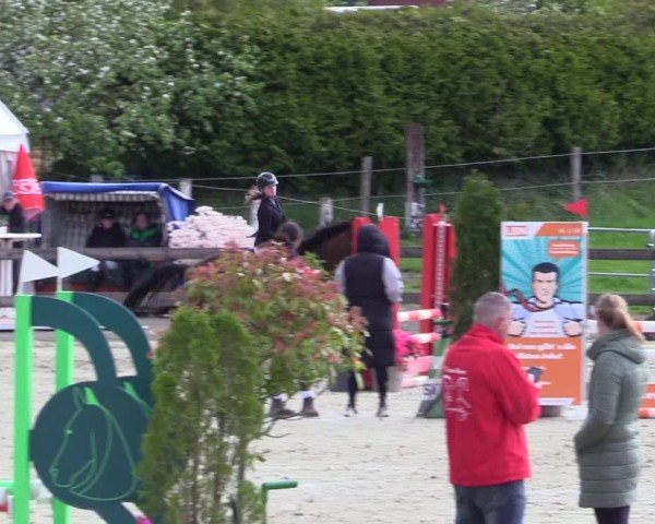 Reitturnier Looperholz 2025