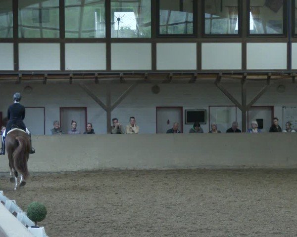 Reitturnier Kamen 2025