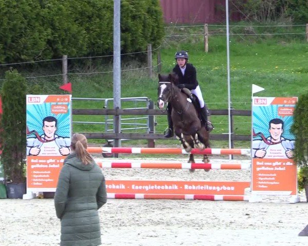 Reitturnier Looperholz 2025