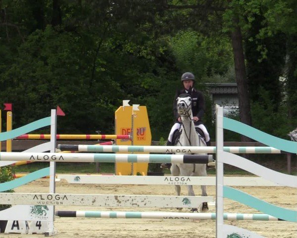 Reitturnier Wesel-Obrighoven 2025