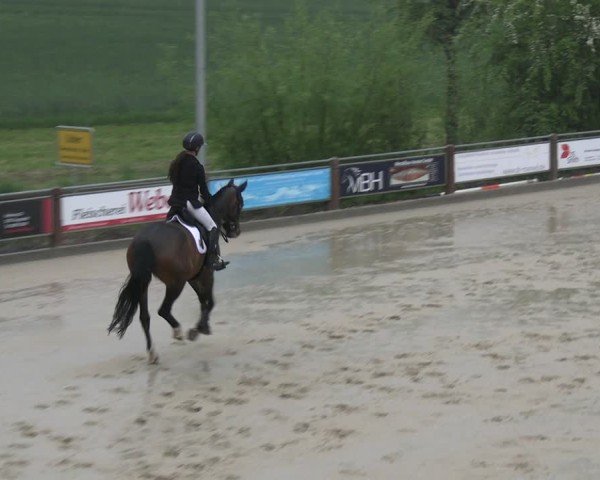 Reitturnier Uder, Reitanlage Kobold 2025