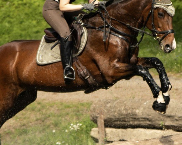 jumper Hamada (Great Poland (wielkopolska), 2001, from Czad)