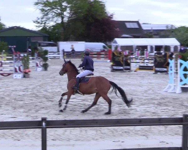 Reitturnier Looperholz 2025