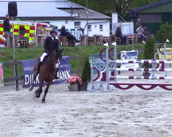 Reitturnier Looperholz 2025